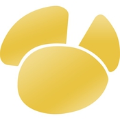 Navicat Premium 11 icon