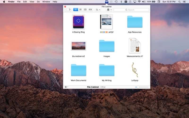 5_File_Cabinet_Pro.jpg