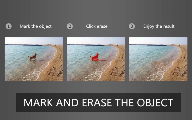 PhotoEraser Inpaint Screenshot 1