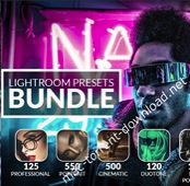 Pro lightroom presets bundle 2544334 icon