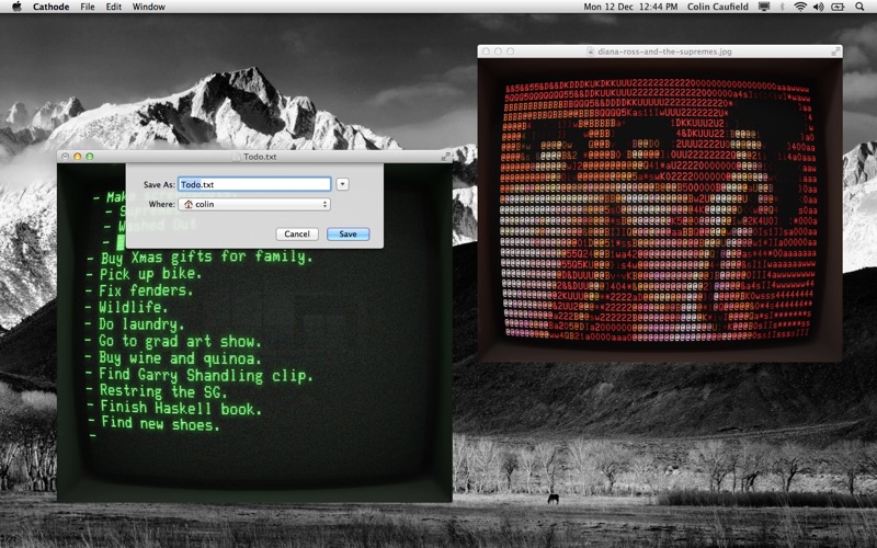3_Cathode.jpg