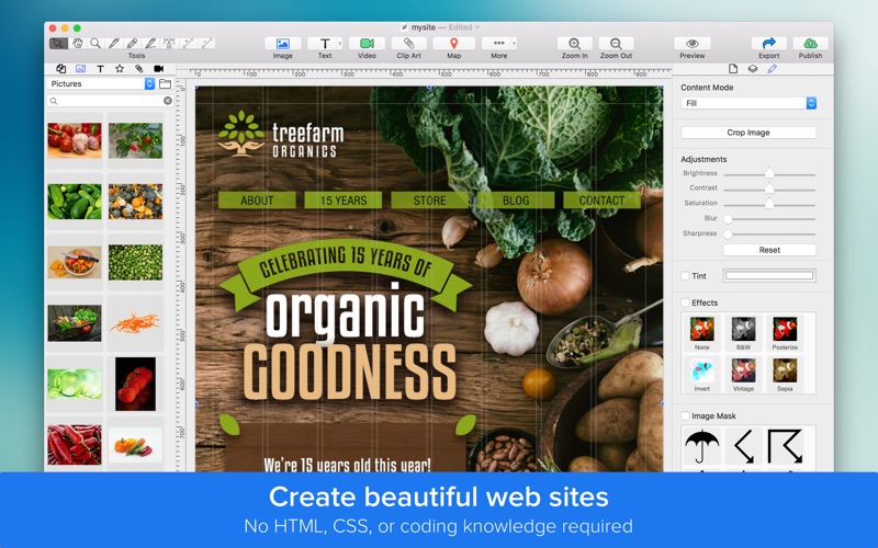 2_TurboWeb_Easy_Web_Design.jpg