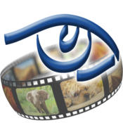 Tri catalog 7 icon