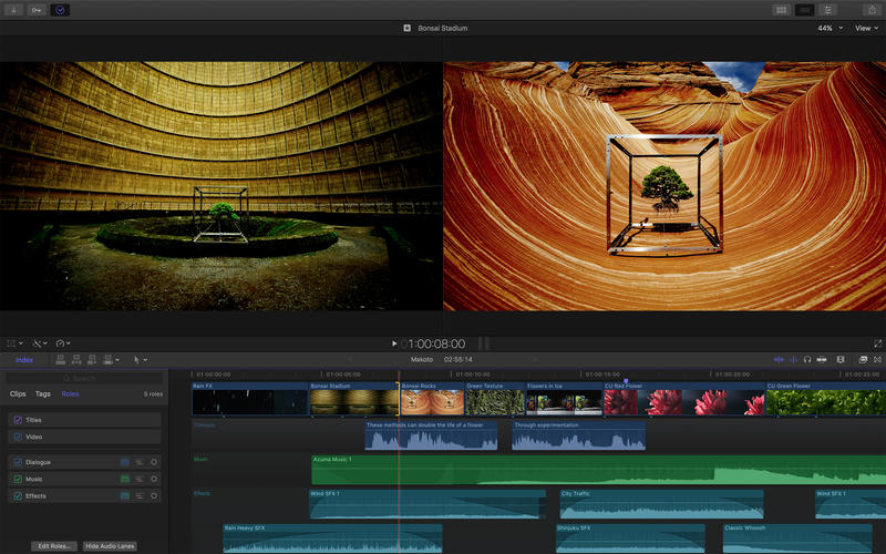 5_Final_Cut_Pro.jpg