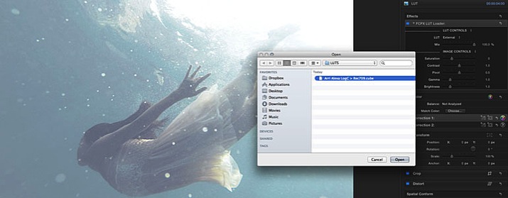 LUT Loader for FCPX