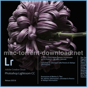 Adobe lightroom 6 8 icon
