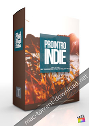 Pixel film studios prointro indie volume 1 icon