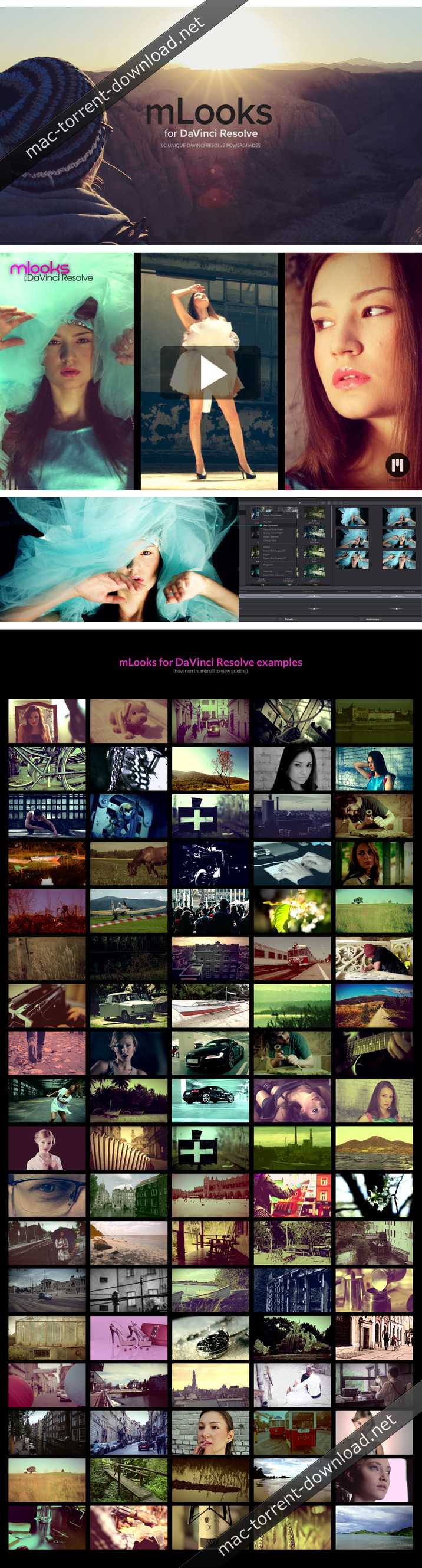 motionVFX - mLooks for Davinci Resolve