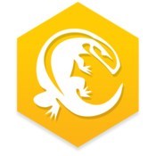Komodo ide 10 icon