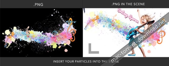 Custom Particle Options