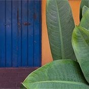 Photomorphis fine art presets presets for onone software icon