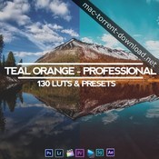 Teal and orange professional all in one 130 luts and presets icon