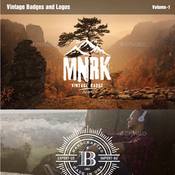 Vintage badges and logos 12908546 icon