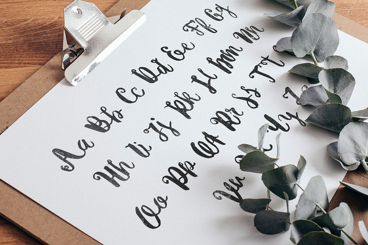 Creativemarket_Michelle_Font_Bonus_248950_cap02
