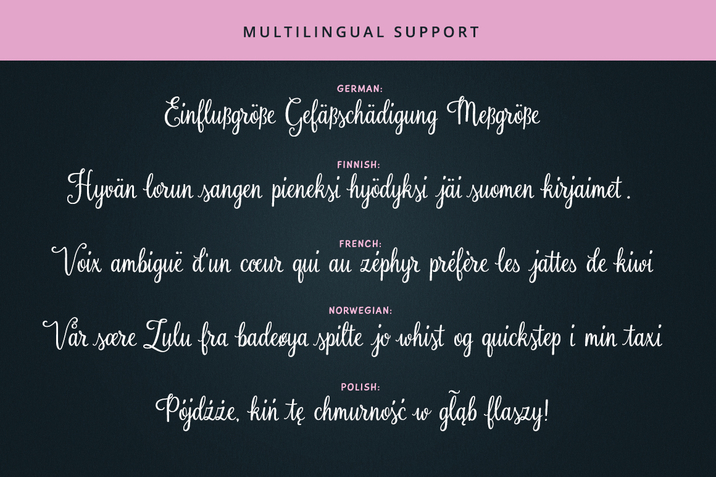 Creativemarket_Rosalinda_Script_285891_cap05