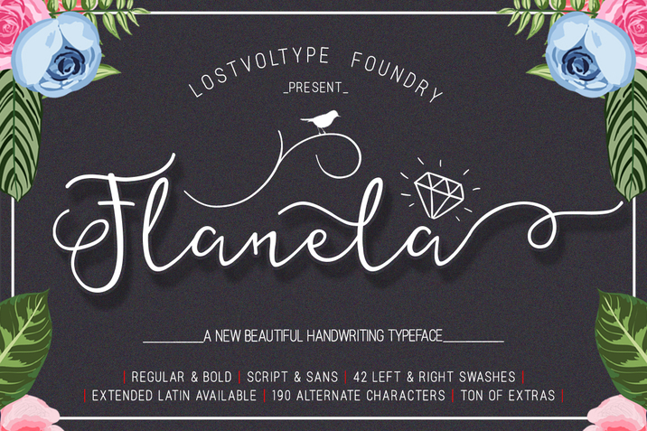 Creativemarket_The_Flanela_Extras_311074_cap01