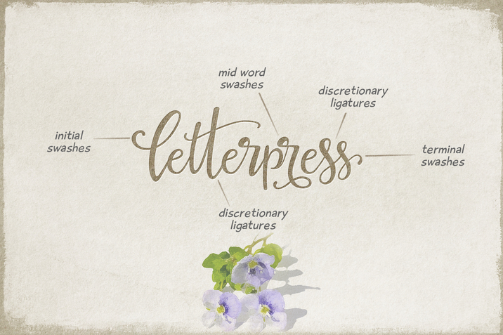 Creativemarket_La_Veronique_Script_intro_20percent_off_220642_cap03