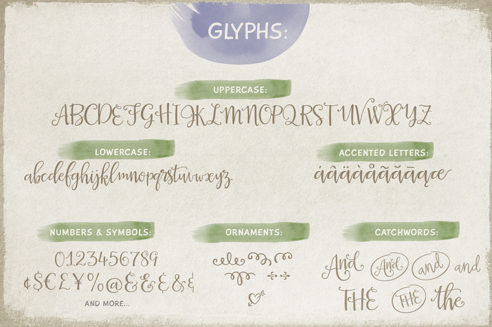 Creativemarket_La_Veronique_Script_intro_20percent_off_220642_cap05