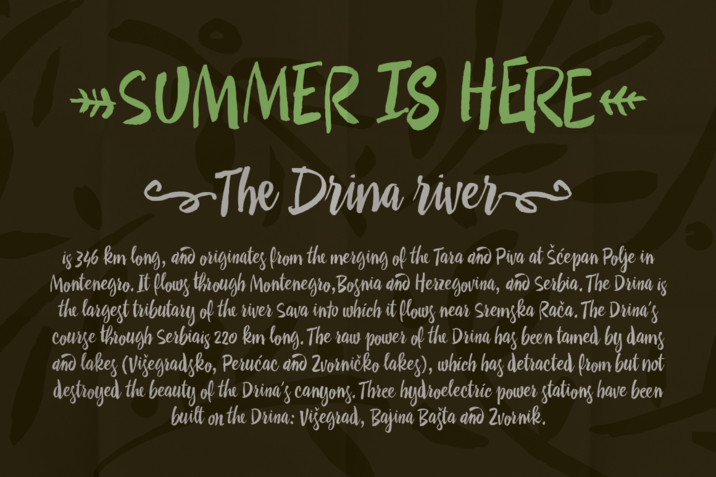 Creativemarket_Drina_291707_cap03