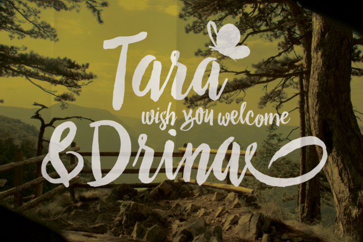 Creativemarket_Drina_291707_cap05