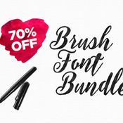 Creativemarket brush fonts bundle 352856 icon