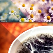 50_premium_actions