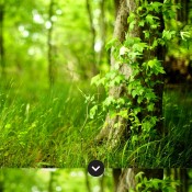 realistic_painting_effect_action_10641296
