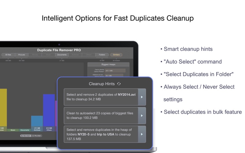Duplicate File Remover PRO Screenshot 3