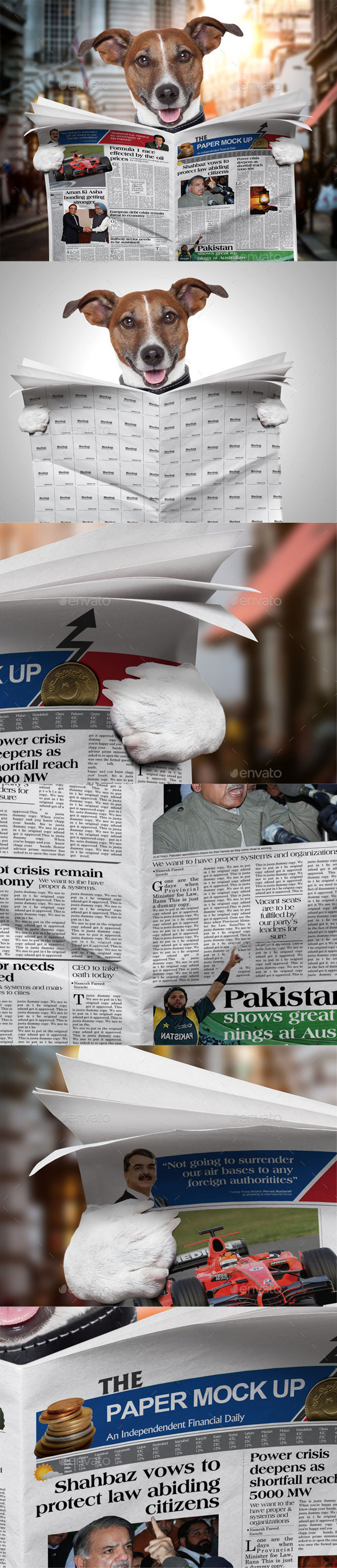 Dog Newspaper Mock Up