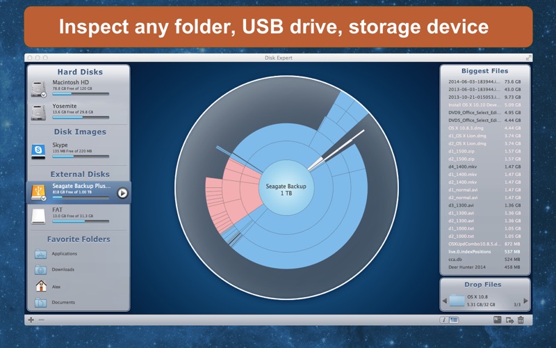 DiskExpert: Free Up Disk Space Screenshot 2