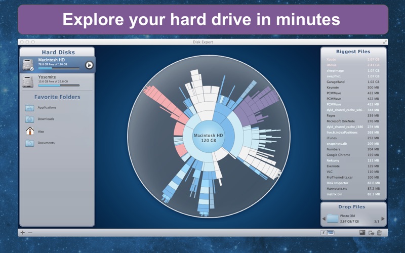 DiskExpert: Free Up Disk Space Screenshot 1