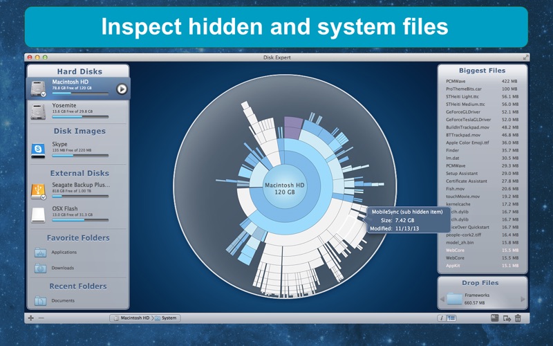 DiskExpert: Free Up Disk Space Screenshot 5