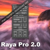 Raya pro panel icon