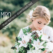 Kreativ wedding luts vol 1 to 3 icon
