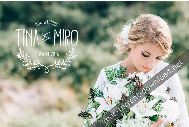 kreativ_wedding_luts_vol1_vol3_win_mac