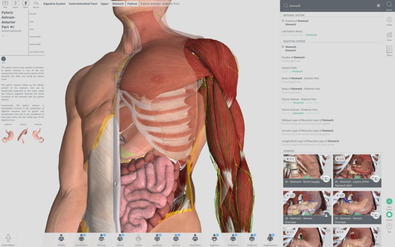 2_Complete_Anatomy_2018.jpg