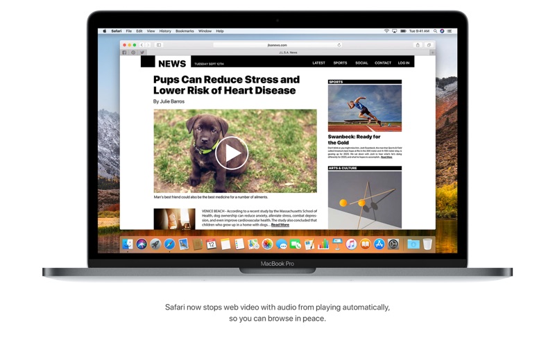 2_macOS_High_Sierra.jpg