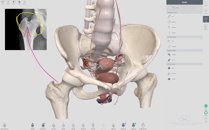 4_Complete_Anatomy_2018_Courses.jpg