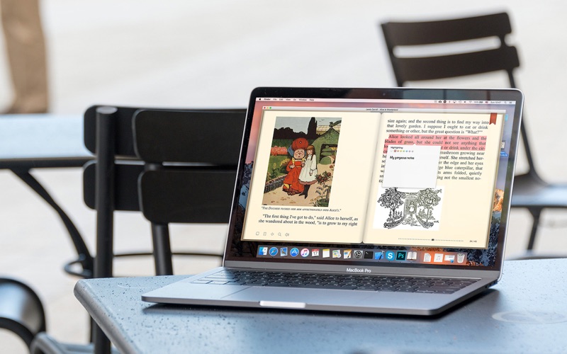 1_BookReader.jpg