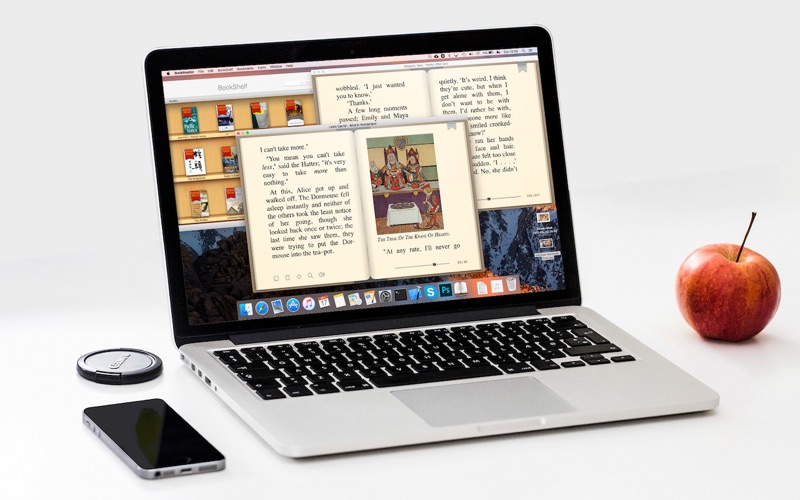 4_BookReader.jpg