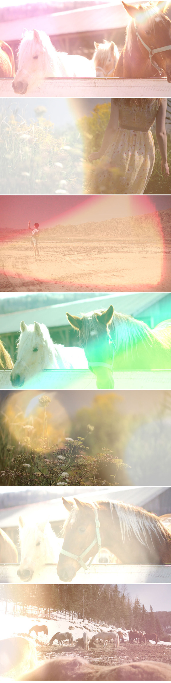 crumplepop_halflight:_light_leak_for_final_cut_pro_x