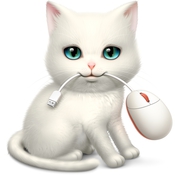Shortcat icon