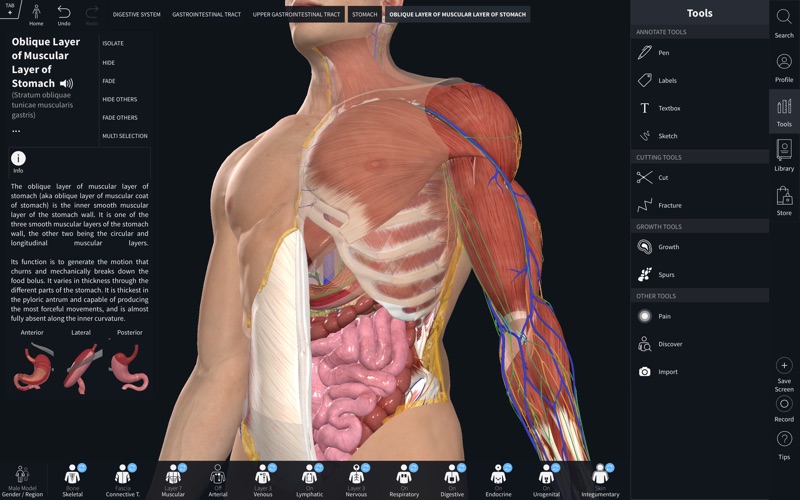 1_Complete_Anatomy_2019.jpg