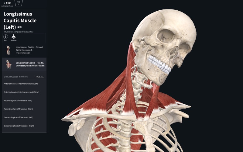 2_Complete_Anatomy_2019.jpg
