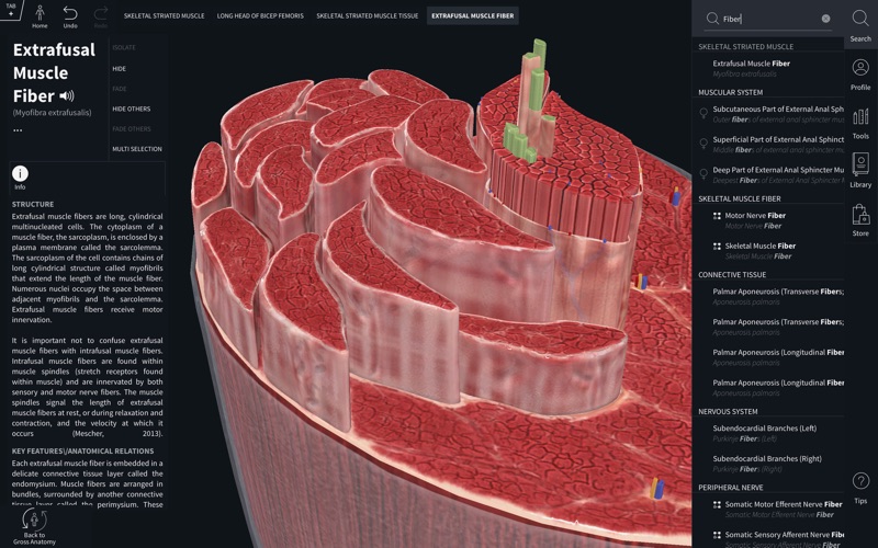 3_Complete_Anatomy_2019.jpg