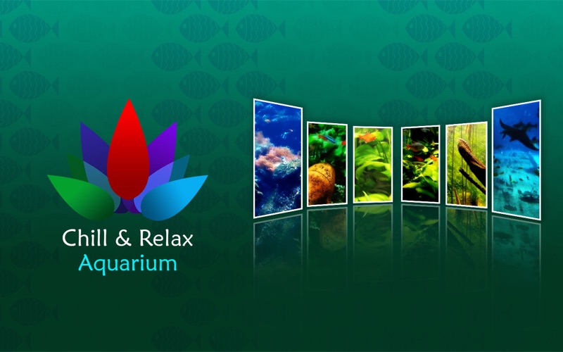 1_Chill_Relax_Aquarium_Cay_Fish_Tank_HD_Video.jpg