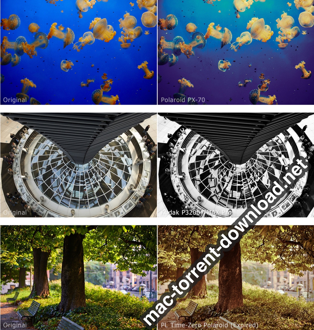 Film Styles Set For Capture One Win Mac Screenshot 03 8tsqyiy