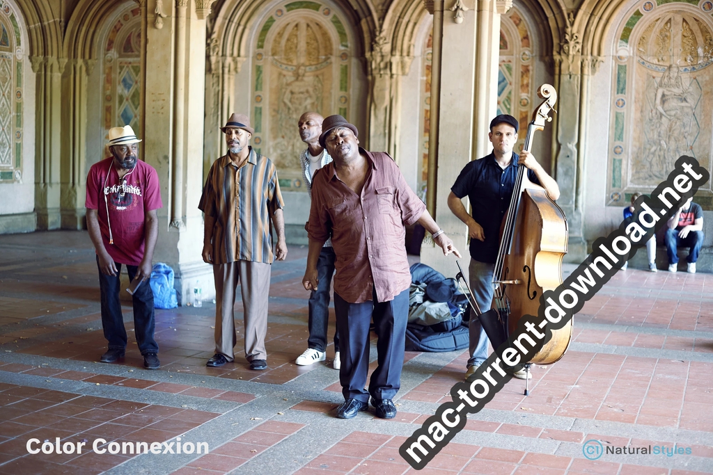 Capture One Natural Styles Natural Collection Win Mac Screenshot 04 abw5s6n