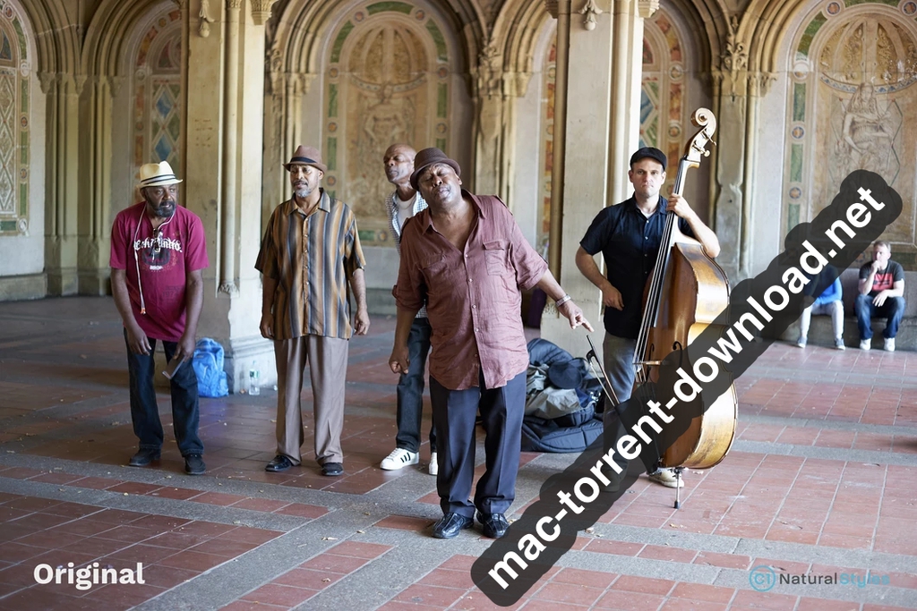 Capture One Natural Styles Natural Collection Win Mac Screenshot 05 abw5s6n