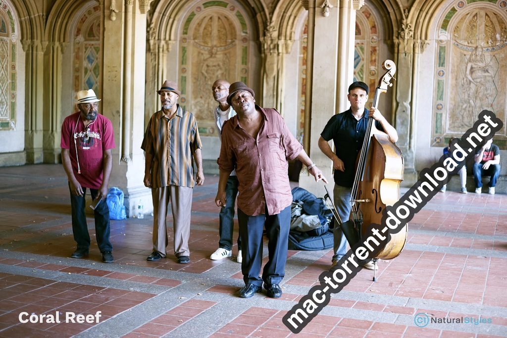 Capture One Natural Styles Natural Collection Win Mac Screenshot 07 abw5s6n